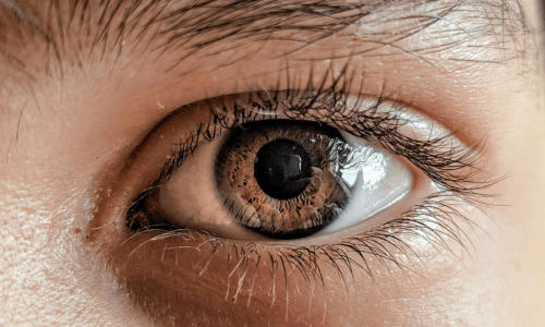 therapy for pregnancy